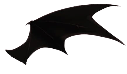 right wing bat