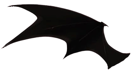 left wing bat