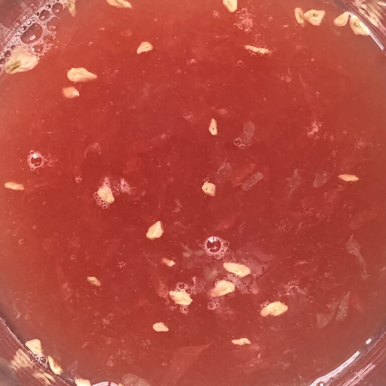 Grapefruitsaft