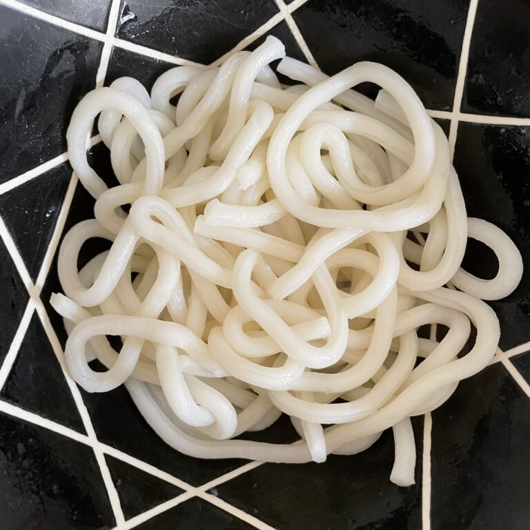 Udon Nudeln